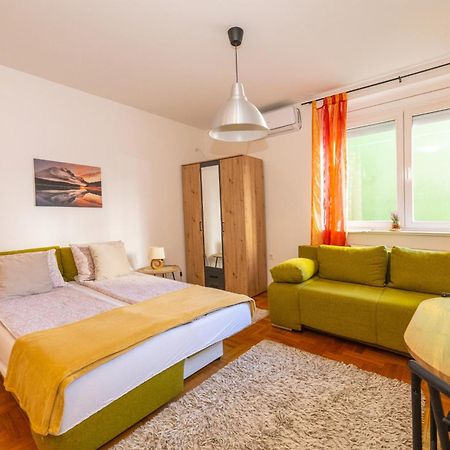 Mina Penthouse Apartment Нови Сад Екстериор снимка
