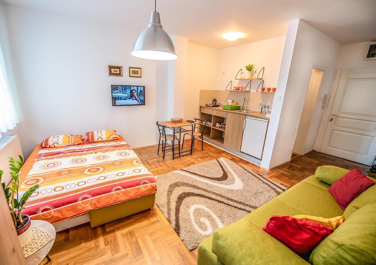 Mina Penthouse Apartment Нови Сад Екстериор снимка