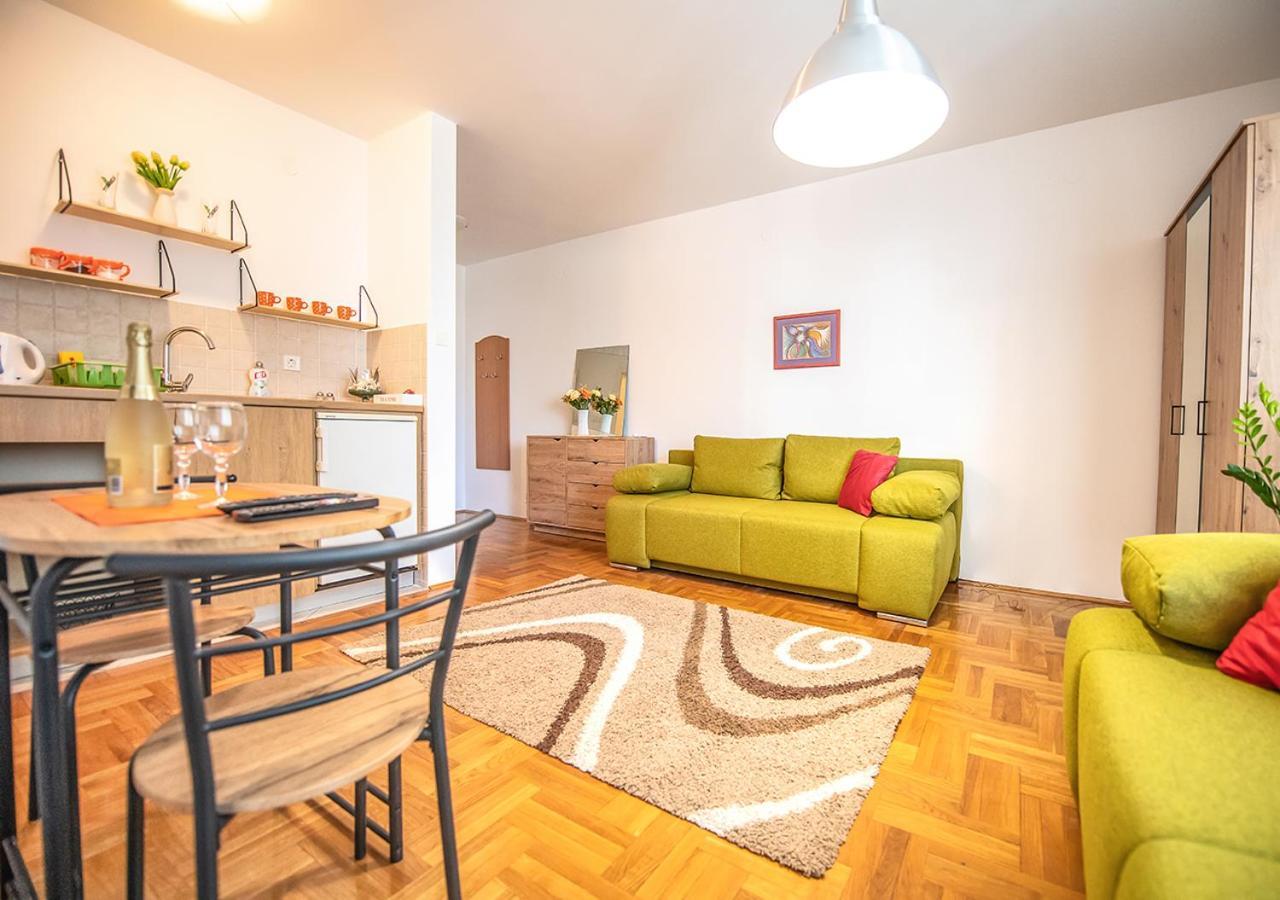 Mina Penthouse Apartment Нови Сад Екстериор снимка