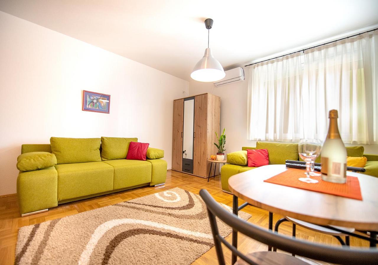 Mina Penthouse Apartment Нови Сад Екстериор снимка